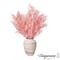 Uniquewise Preserved Real Floral Stems Chic Vase Fillers & Accents for Bouquets Centerpieces & Ornamental Displays Ideal for Home Office Boutique Cafe Resto Bar and Event Decor